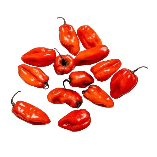 Afrikanische Chili