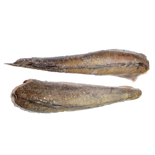 PERFIT HAKE 15kg