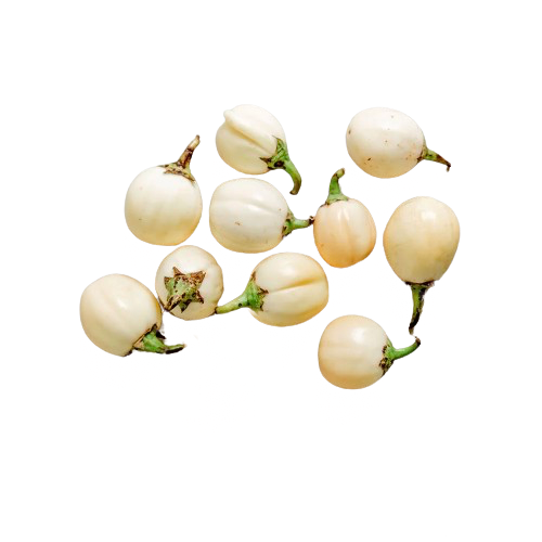 Frische Garden Eggs