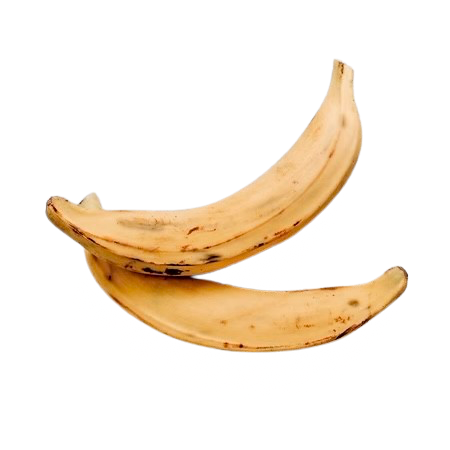 Frische Kochbananen (Gelb)